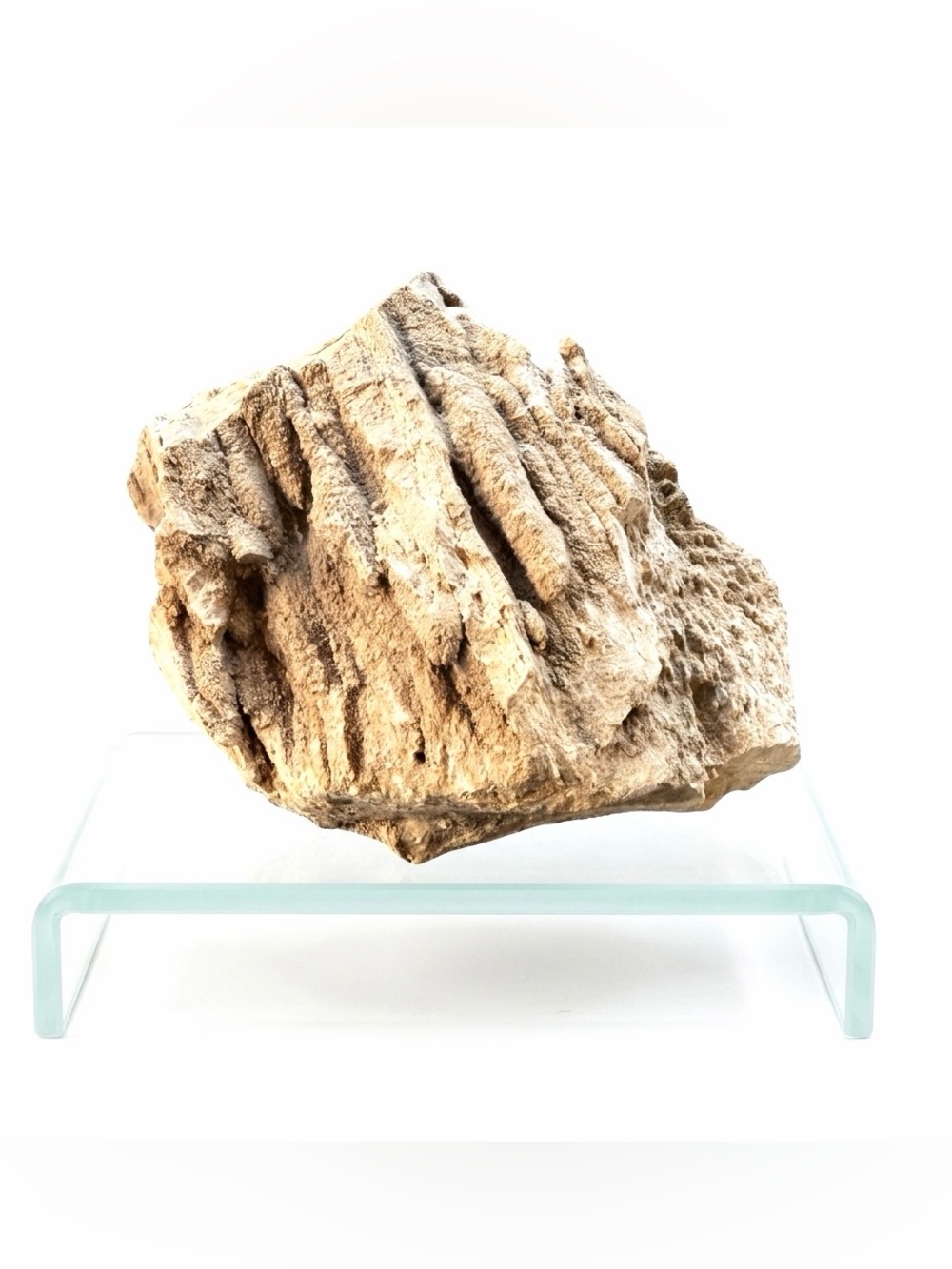 Natural Rough Petrified Wood New Mexico Tan Specimen Gold Quartz UV 5”x4” 1.2 lb